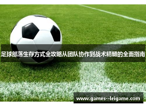 足球部落生存方式全攻略从团队协作到战术精髓的全面指南
